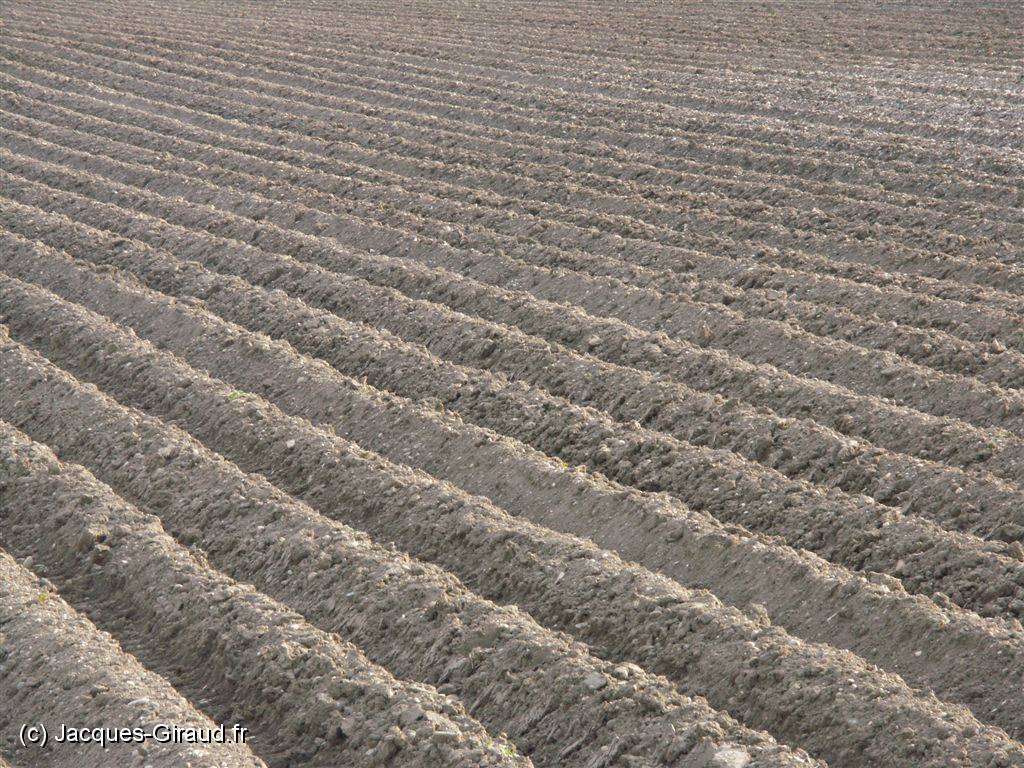 2005-05-08 18-17-20 Mai 200,0mm 1_50_eme F10,0.JPG